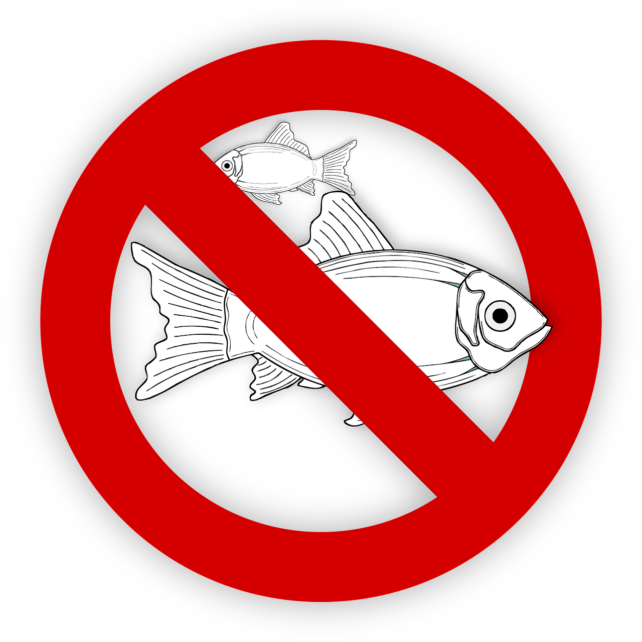 pixabay-995050-4.png